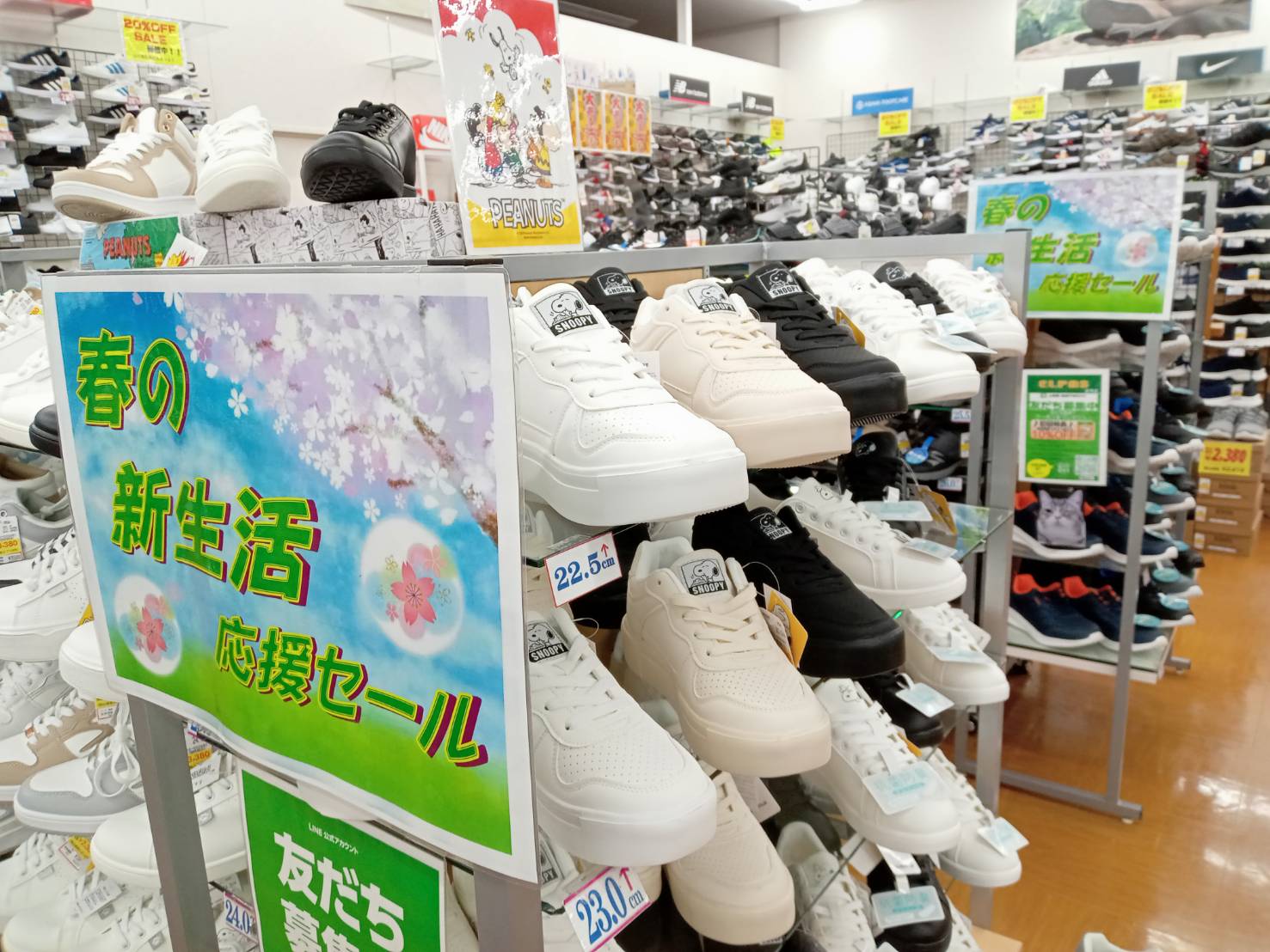 春の新商品が続々入荷中！！