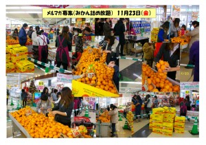 みかん詰め放題