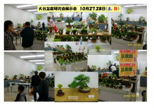 12102728　盆栽研究会