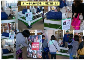 ポニー写真