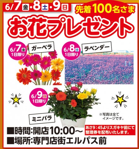 6/7～6/9　お花プレゼント　先着100名さま