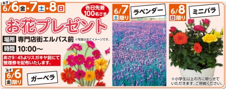 6/6～6/8　お花プレゼント　各日先着100名さま