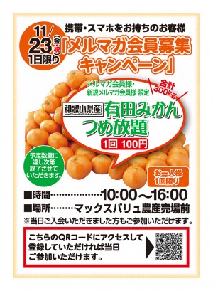 mikan_20121123