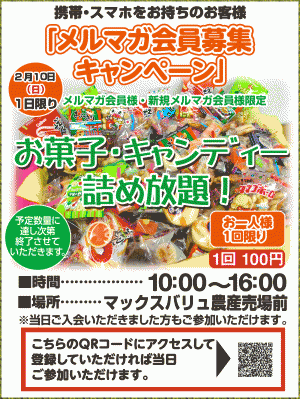 okashi_20130210