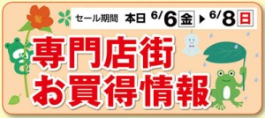 sale-17shunen_00-kikan