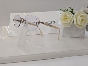 PXL_20251013_081213869.jpgランバン側面婦人