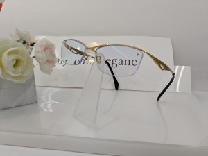 PXL_20250912_024436468.jpgダンロップメガネ側面