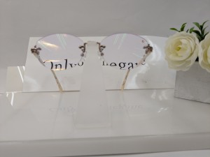 PXL_20251013_081134540.jpgランバン正面婦人