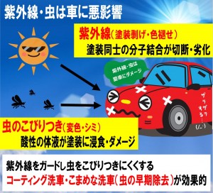 紫外線(カードタイプ)jpg