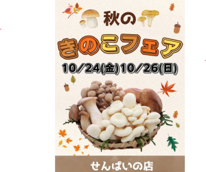 kinokosennpai kinokosennpai