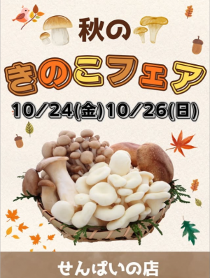kinokosennpai kinokosennpai